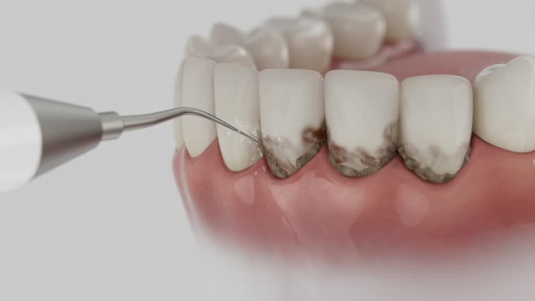 Reliable Dental contractor in Watford City, ND by Dentist Open Now
